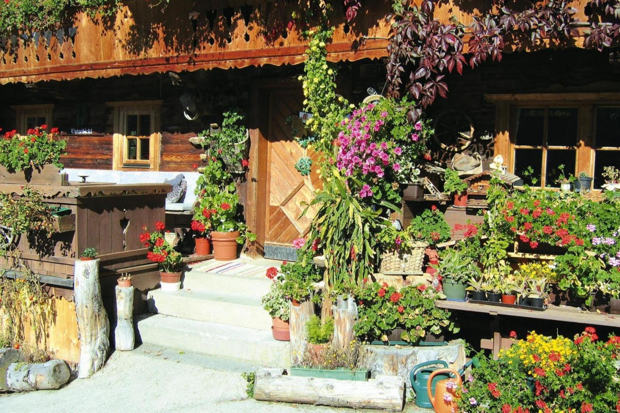 Apartments Schatzberg-Haus, Wildschoenau-Auffach Kültér fotó