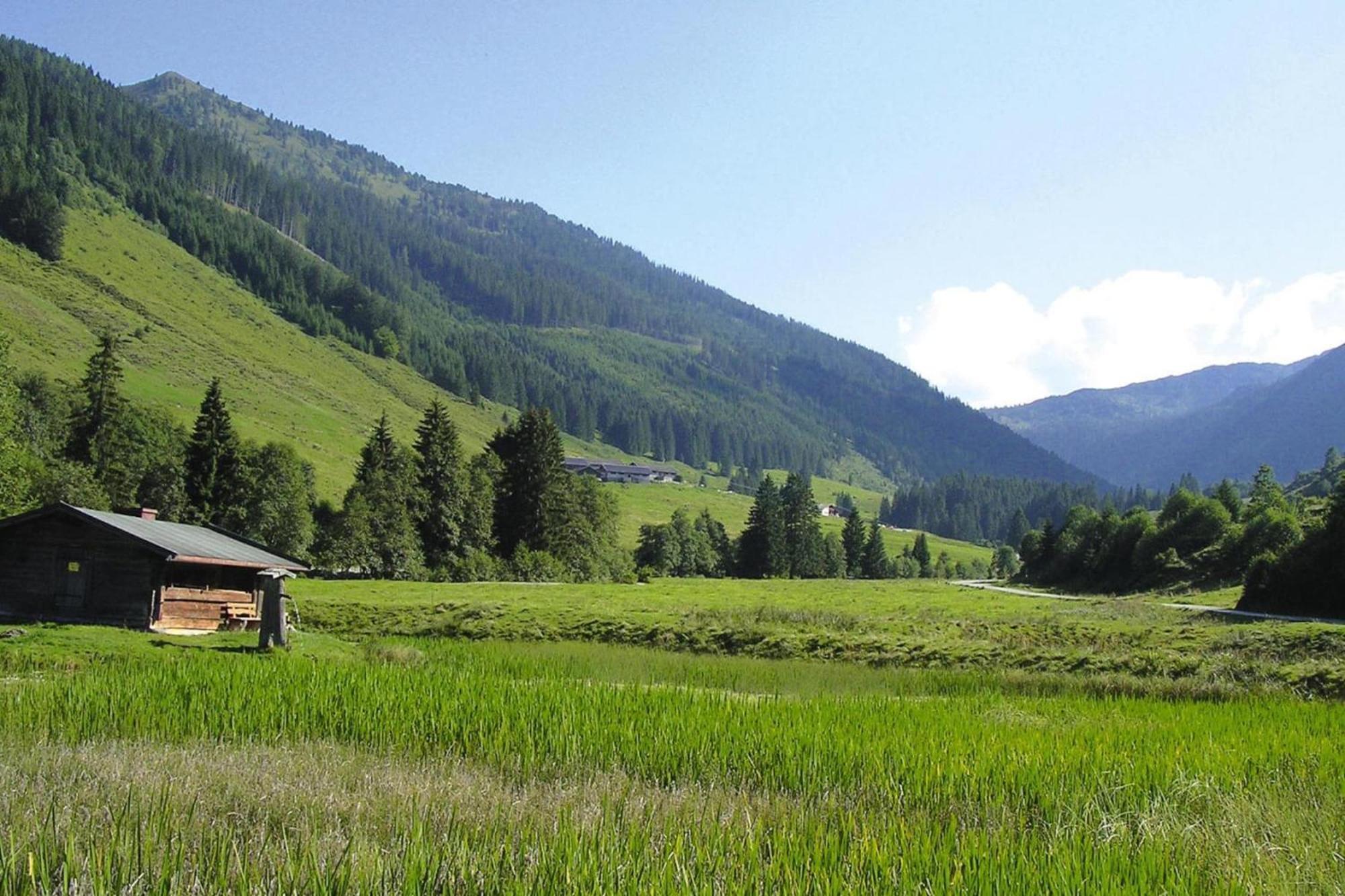 Apartments Schatzberg-Haus, Wildschoenau-Auffach Kültér fotó